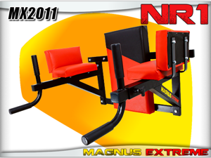 Dips and push up handles Magnus Extreme MX2011