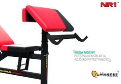 Bodybuilding Scott bench Magnus Extreme MX2081